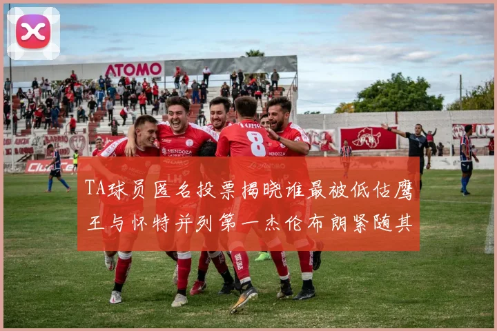 TA球员匿名投票揭晓谁最被低估鹰王与怀特并列第一杰伦布朗紧随其后