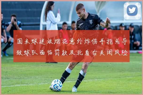 国米球迷放烟花意外炸伤手指或导致球队面临罚款及北看台关闭风险